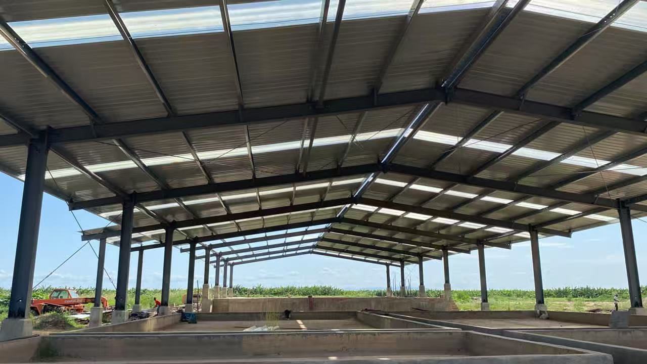 Steel Canopy & Shed